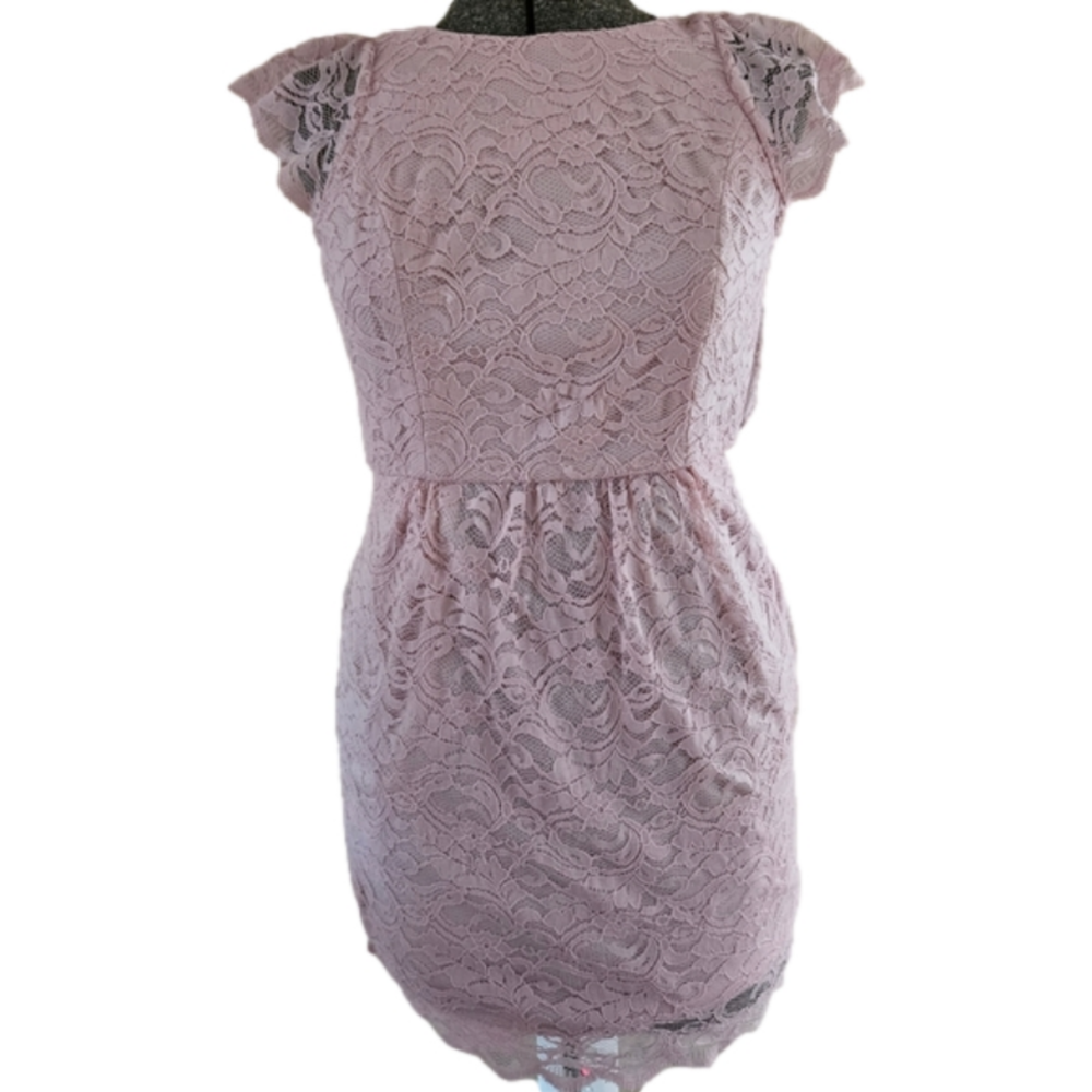 NWT BCBG Pink Lace Crochet Cutout Back Short Sleeve Mini Dress-Size 6